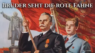 Brüder seht die rote Fahne [GDR song][+English translation]
