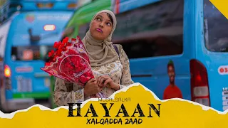 HAYAAN XALQADDA 2-AAD | “ WAAN DILAYAA “