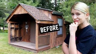 20-Year-Old Shed Transformation - How to Bring Your Old Shed Back To Life