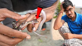 I Got Bitten by Snake | मुझे साँप ने काट लिया- हालत नाज़ुक? Snake Rescue Part-2