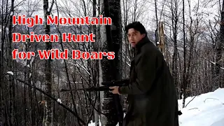 High Mountain Driven Hunt for Wild Boars with Daniel Borimirov - BH 40