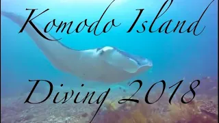 Best of Komodo Scuba Diving