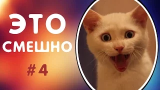 ПРИКОЛЫ ДО СЛЁЗ | ЛУЧШИЕ ПРИКОЛЫ 2017 СМЕШНАЯ ПОДБОРКА ПРИКОЛОВ | СМЕШНЫЕ ВИДЕО #4