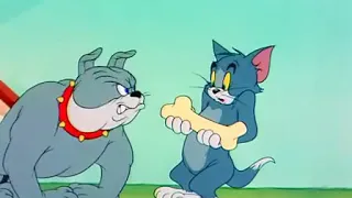 #TOM AND JERRY -#framed cat video-time lapse version