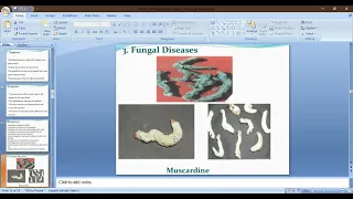 Diseases and Enemies of Silkworm