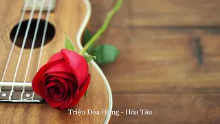 Triệu Đóa Hồng -  Hòa tấu