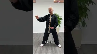 Chen Style Taiji   Integrating the Arms