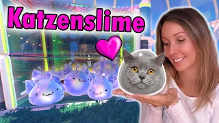 KATZENSLIME mit Phosphor gekreuzt 😻 Süüüßi 🌈 Slime Rancher 2 deutsch 🏝 Folge 02