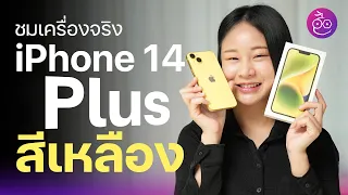 #iMoD ชมเครื่องจริง! iPhone 14 Plus สีเหลือง ใช้ดีไหม? ประสบการณ์จากคนใช้จริง!