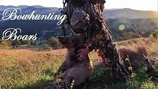 Recurve Bowhunting Boars