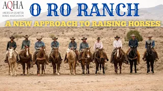 O RO Ranch's Self-Sustaining Horse Program: Why This New Approach To Raising Horses Works