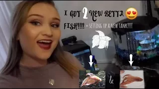 I GOT TWO NEW BETTA FISH!! | SETTING UP A NEW FISH TANK! | ItsAnnaLouise