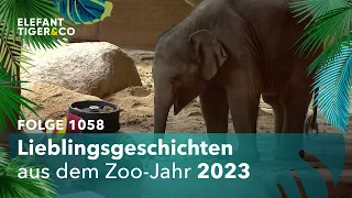 Lieblingsgeschichten (1058) | Elefant, Tiger & Co. | MDR