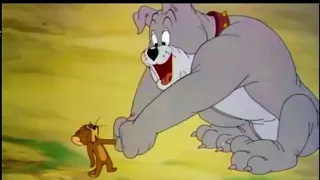 Tom and Jerry - The Bodyguard