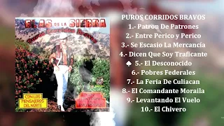 El As de la Sierra - Puros Corridos Bravos (Álbum Completo)