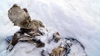 Кладбище на Горе Эверест ! 2016 Интересные Факты.