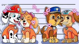 Paw Patrol The Mighty Movie | in Prison CHASE VS MARSHALL Couple | Very Sad Story | Rainbow 3