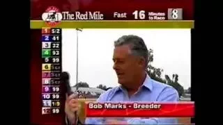 2004 Red Mile Lexington BOB MARKS Interview Royal Mattjesty