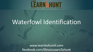 LtH Webinar: Waterfowl Identification