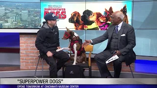 'Superpower Dogs' comes to the Omnimax at the Cincinnati Museum Center