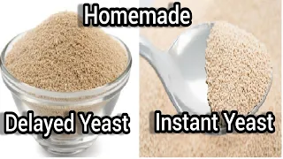 Homemade instant yeast & Delayed yeast recipe/Homemade yeast recipe/How to prepare yeast at home