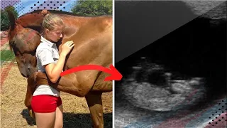 Horse Won’t Stop Hugging Pregnant Woman and When Doctor Sees Her Ultrasound He Calls 911