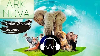 🎵 Ark Nova Soundtrack - Ambient Music for playing the Board Game Ark Nova [with animal Sounds]