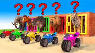 5 Giant Cartoon Duck, Tiger, Lion, Elephant Ride Gear Motorbikes, Transfiguration funny animal 2024