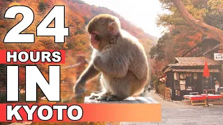 24 Hours in Kyoto | Japan Vlog