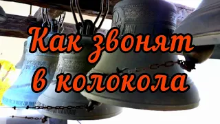 Колокольный звон. ЭТО ПОТРЯСАЮЩЕ!!! Свято-Ольгинский храм Харьковской епархии. 🇺🇦16 октября 2022.