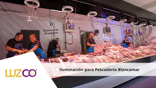 Proyecto de iluminación para Pescadería Blancamar - Luzco Iluminación