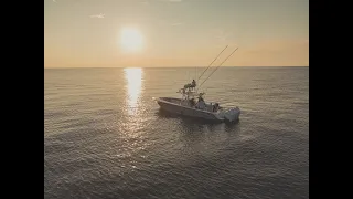 Huge Mangrove Snapper. Fishing oil rigs Gulf of Mexico : Venice, Louisiana