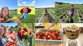Picking Strawberries in Marble Falls, Texas | Homeschool Field Trip | Crystal Lopez
