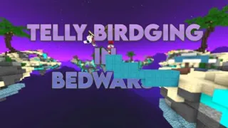 Telly Bridging In Bedwars (HANDCAM+CLICKSOUNDS)