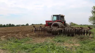 international tractor discing corn ground