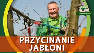 Jak przycinać jabłonie - Z PLANTĄ W OGRODZIE