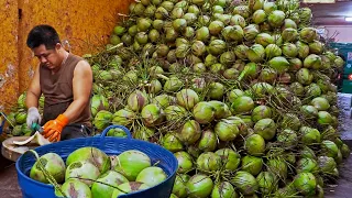 Fantastic！Coconut Cutting Master and  Fresh Coconut Water Making/驚人的！椰子切割技巧, 椰子加工廠