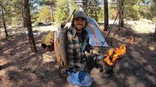 Catch, Cook and Camp Deep in the Mountains! (Wild Brook Trout)