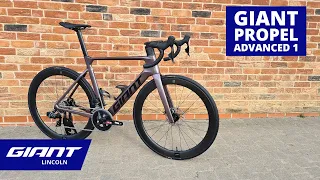 2023 Giant Propel Advanced 1 | Giant Lincoln