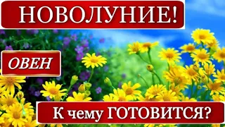 🔴 ОВЕН,♈️, Неделя 19-25 июня, НОВОЛУНИЕ, гороскоп, гадание он-лайн, таро,