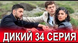Дикий 34 серия на русском языке. Новый турецкий сериал. АНОНС