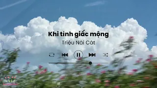 [Vietsub] Khi tỉnh giấc mộng (夢醒時分) - Triệu Nãi Cát (cover)