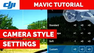BEST Camera Settings STYLE Menu - DJI Mavic Pro Tutorial