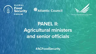 Panel II Agriculture ministers and senior officials on food security