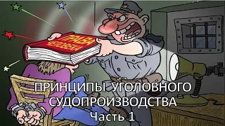 Россинский С.Б. Видео-лекция: «Принципы уголовного судопроизводства». Часть 1