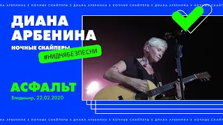 Диана Арбенина. Ночные Снайперы - Асфальт (Владимир 22.02.2020)