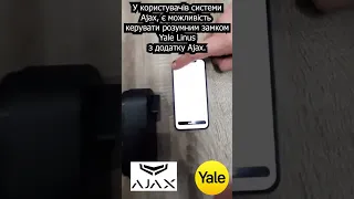 Yale Linus + Ajax