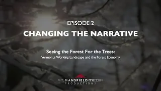 Seeing the Forest for the Trees - Episode 2 - Changing the Narrative