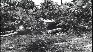 American soldiers load and fire a 105 mm howitzer as a part of their training in ...HD Stock Footage