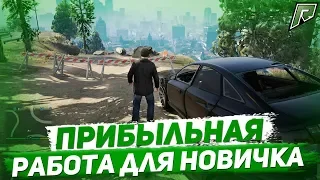 КАК ЗАРАБОТАТЬ ПЕРВЫЕ ДЕНЬГИ!? - RADMIR (GTA 5)